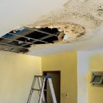 Fast Recovery Services for Homes Affected by Moisture